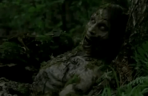 e1df819f285cda93799250884a4c95a3